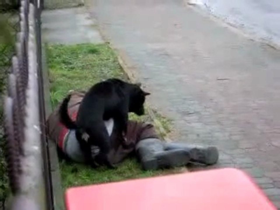 Une bonne raison d'arreter de boire.