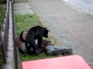 Une bonne raison d'arreter de boire.