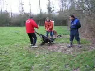 Dino mordant 05/12/09