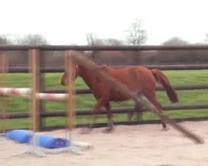 Roukine de Beausse liberté décembre 2009