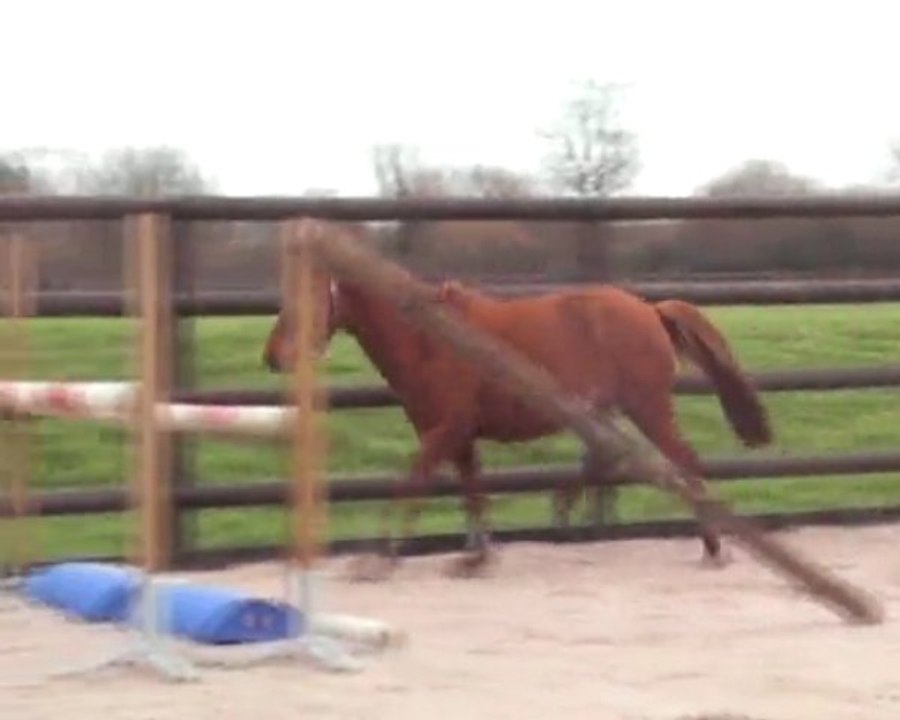 Roukine de Beausse liberté décembre 2009
