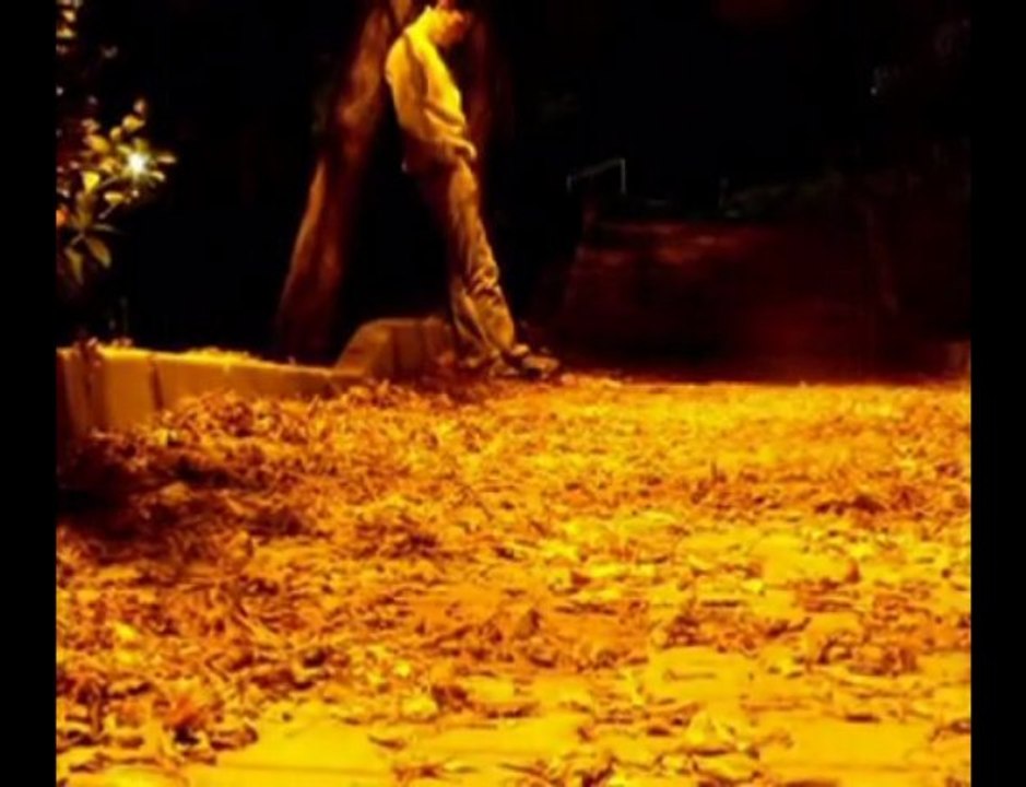 YARİM SENDEN AYRILALI - ERKAN OĞUR