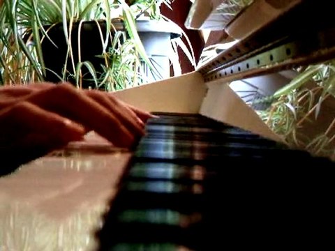 David Guetta (feat. Akon) - Sexy Bitch (Piano Cover)