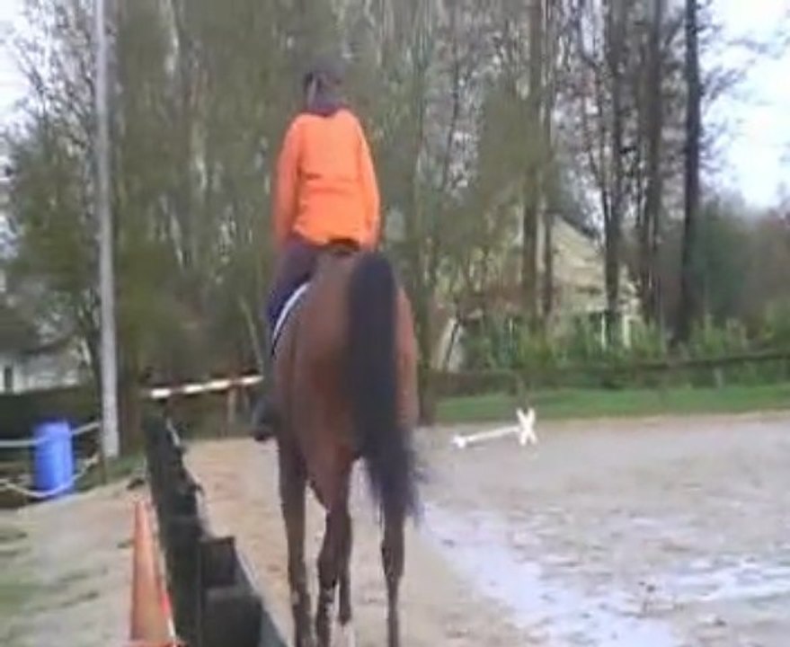 Gibi St Denis - Chevalerie de la Bretèque - Déc. 09