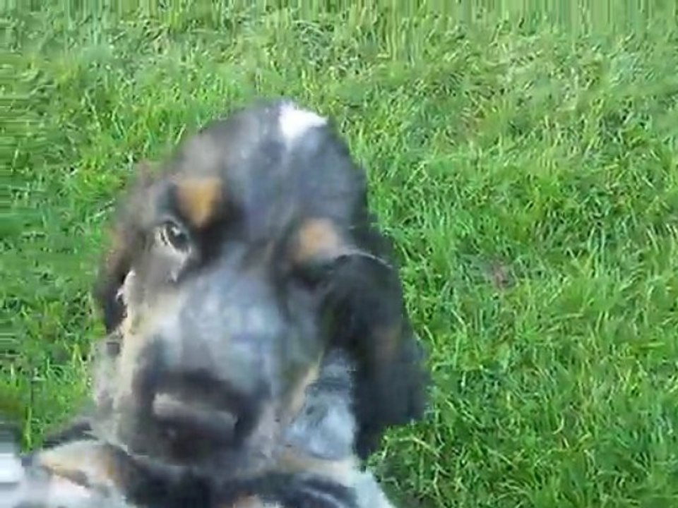 221109 010 jude