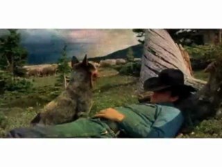 [MMV] Brokeback Mountain