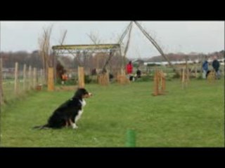 Cheyka passerelle2 22.11.09