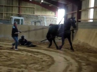 Journée rando & délires à l'écurie