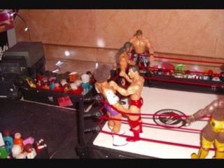 Survivor Series 2009 Highlights 🏆