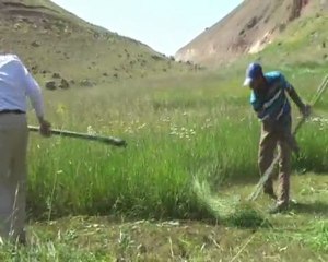 KATRANLI KÖYÜ  HAZ: MEVLÜT YAYLACI. www.tekmankatranli.com