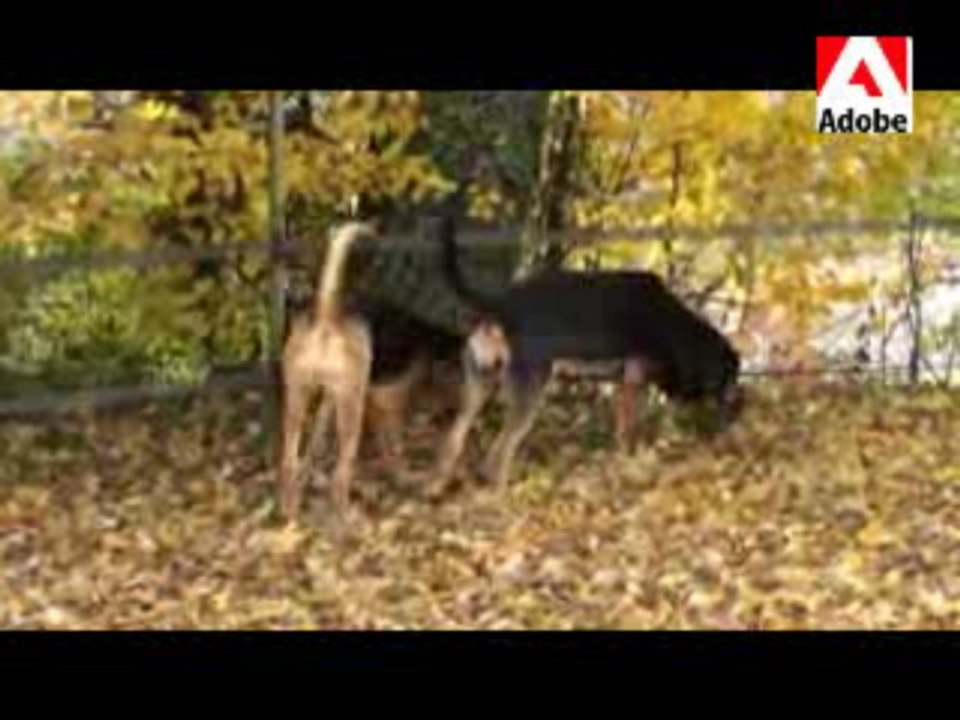 FRANY et ETANE 7 MOIS