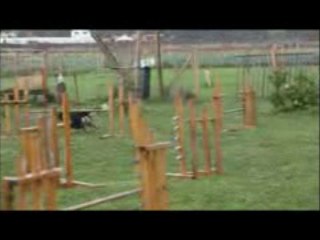 Kherwyn agility2 22.11.09