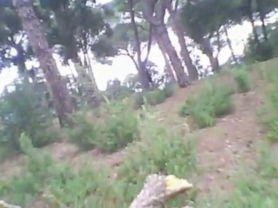 Airsoft DNA (1) 22/11/09