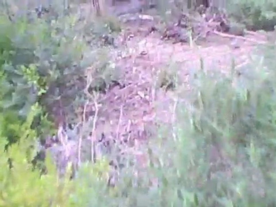 Airsoft DNA (2) 22/11/09