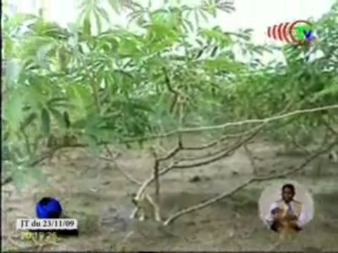 Certains citoyens se lancent à l’exploitation agricole