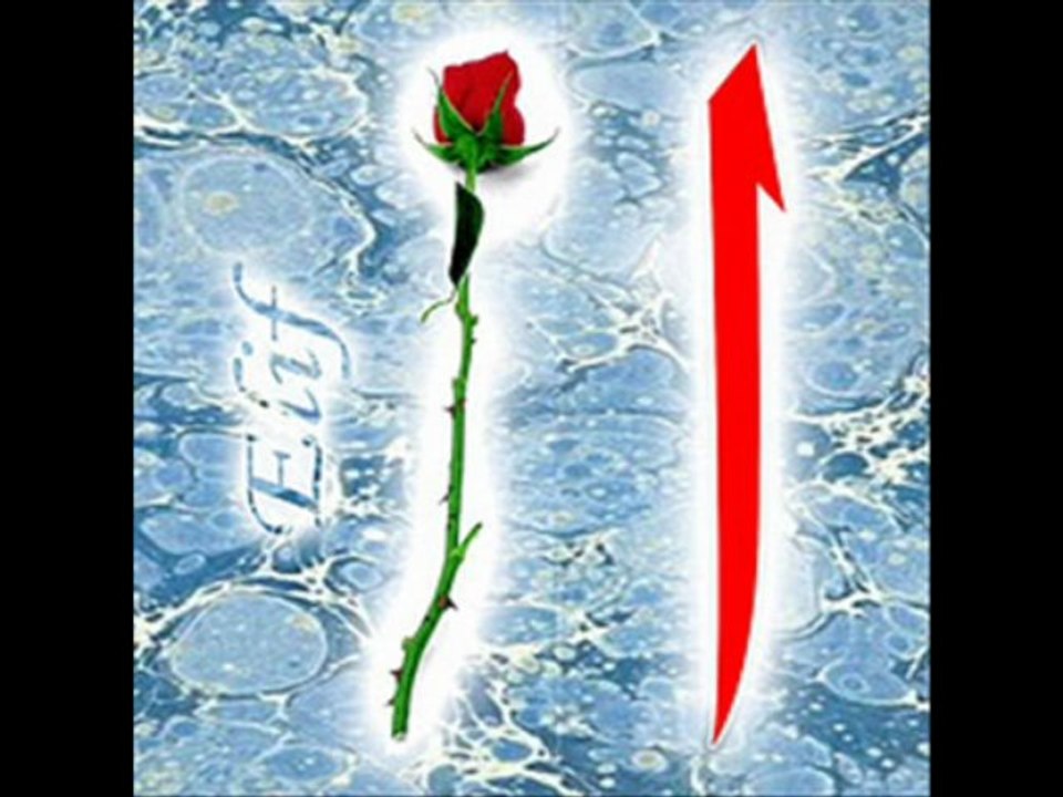 Sus Gönlüm! Bir Elif Miktarı Sus