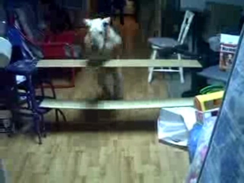 snoopy