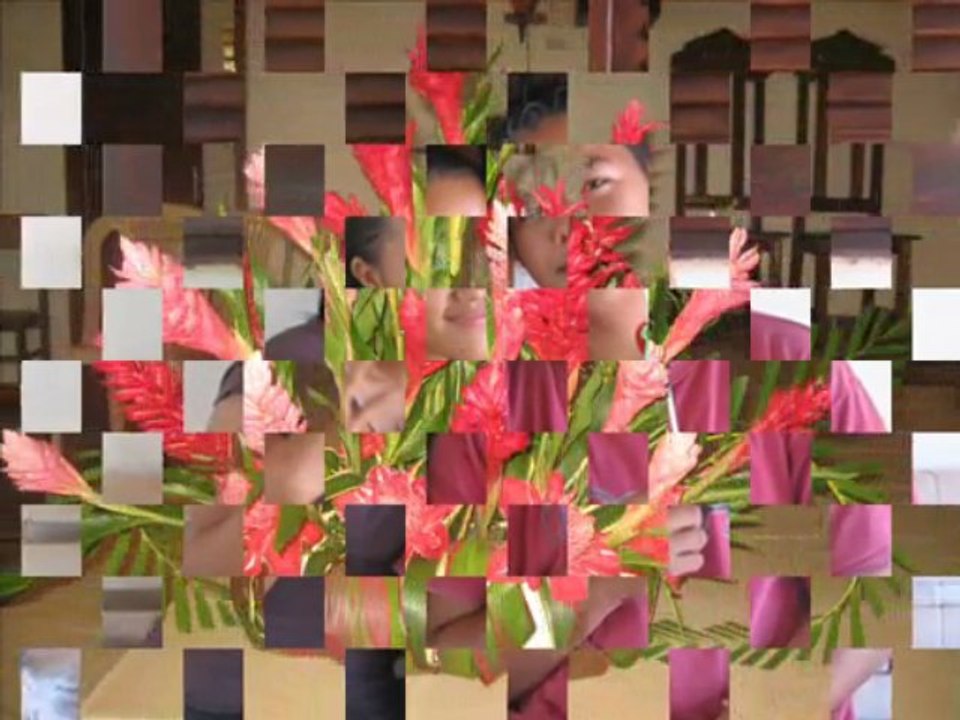 Vidéo love