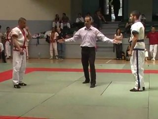 Shuai-jiao Shou-bo coupe de france 2008 party 2avi