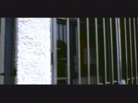 Descendents - I Am The One