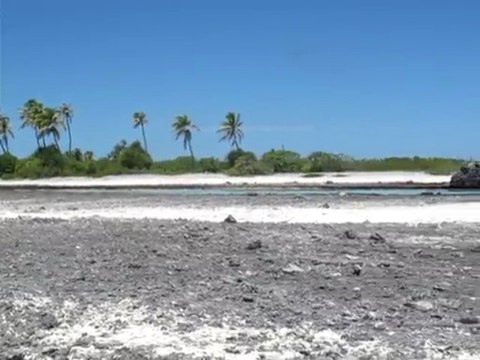 L'ile aux récifs Rangiroa