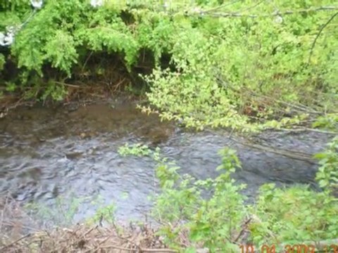 EXSALTAR A NUESTRO DIOS(MARCOS BARRIENTOS)