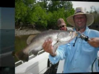 Barramundi Fishing Charters Northern Territory