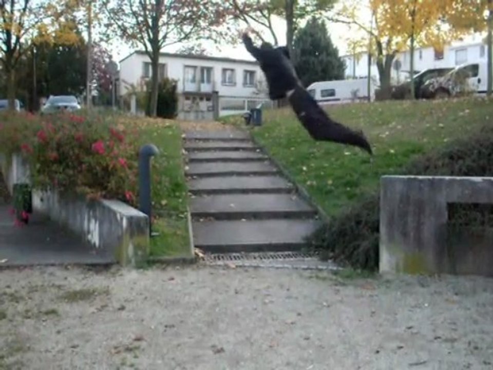 Saison 1 Episode 4 (Dernier)