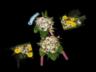 Flower for Condolences