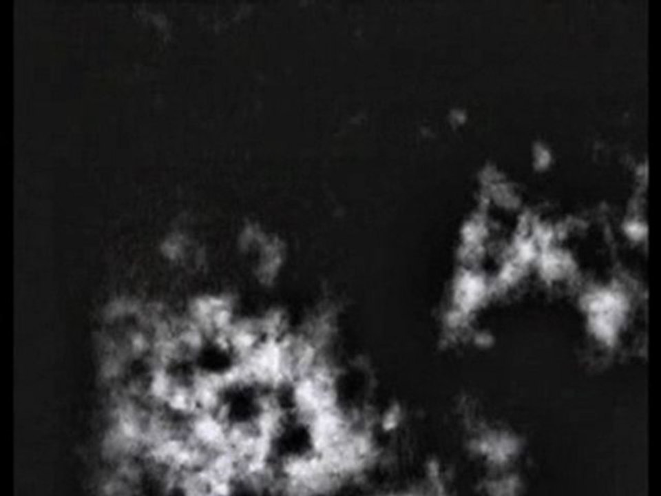 Transcommunication ITC Stephen Shepard 2