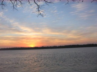 Alegría y Renacimiento: Música de Reiki Crístico