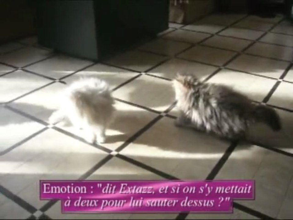 les 3 au 22.11.09