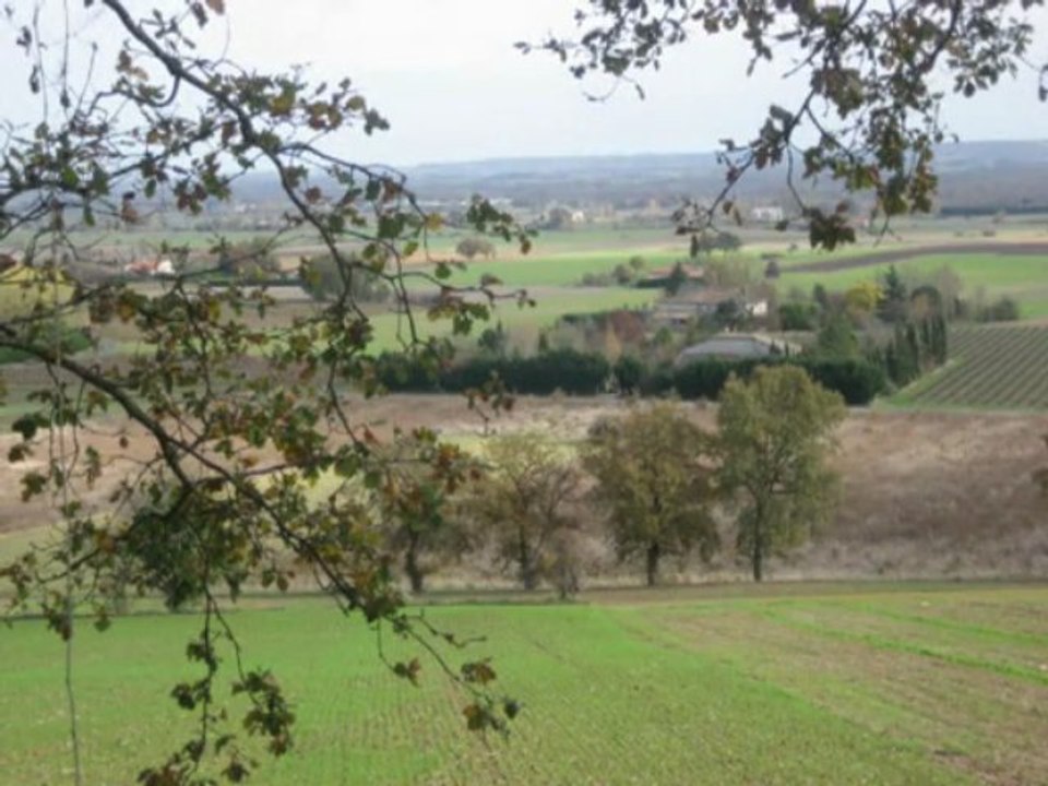 primeur
