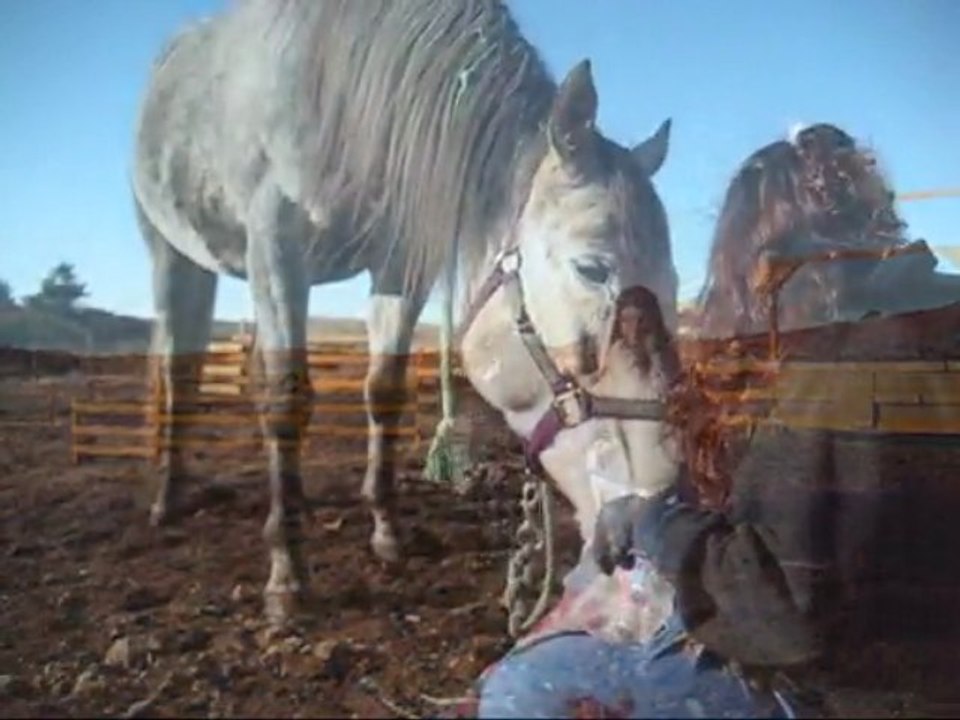 video rosie