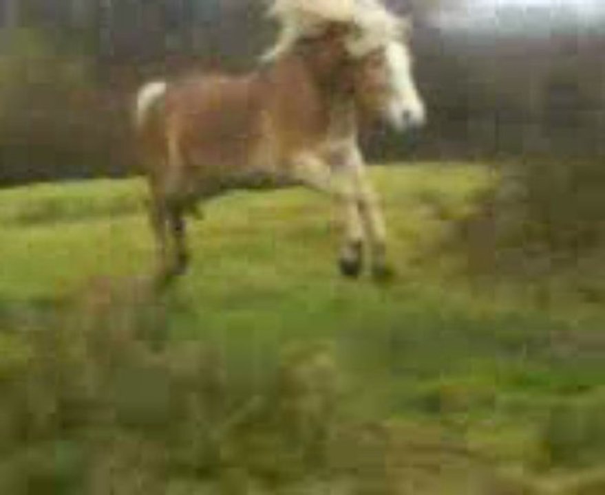 La plus belle déchainée :D