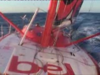 Transat Jacques Vabre 2009 17 Demain à Puerto Limon