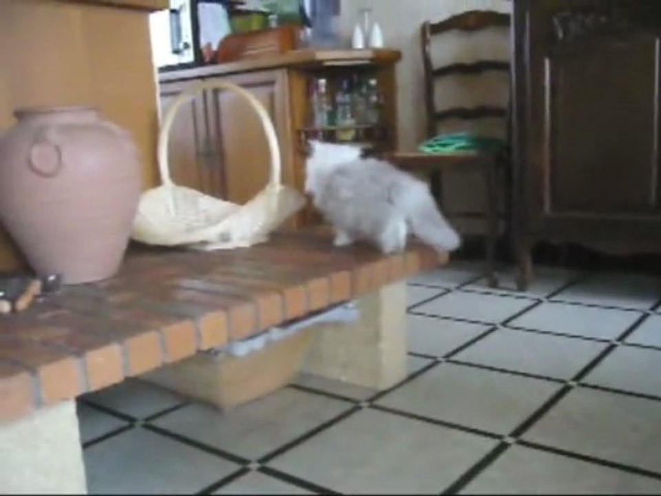 les 3 au 22.11.09-suite