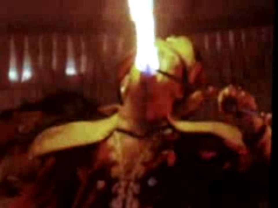 mangeur de feu