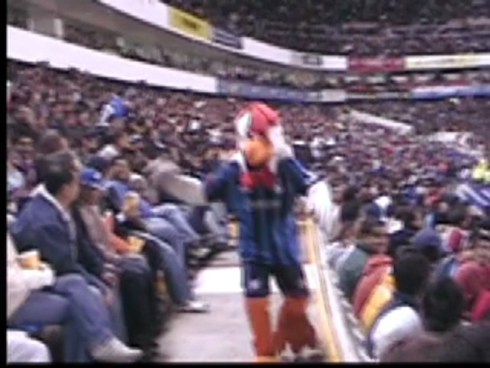 Reportaje Botarga Gallos Blancos / Gallos TV