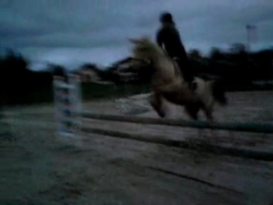 rodeo