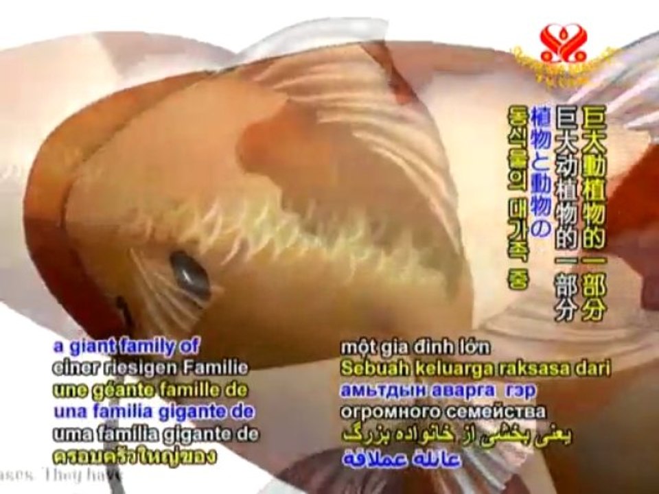 Author Ruby Roth, Coloring Truth and Compassion - P2/2