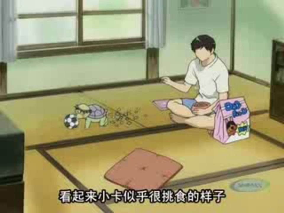 kappanokaikataカッパの飼い方
