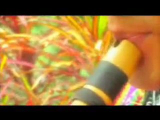 EL CONDOR PASA - ROXSANA