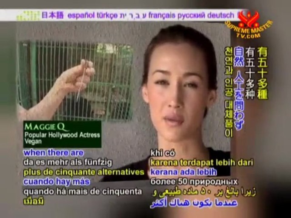 STOP ANIMAL CRUELTY Bear Bile Farms