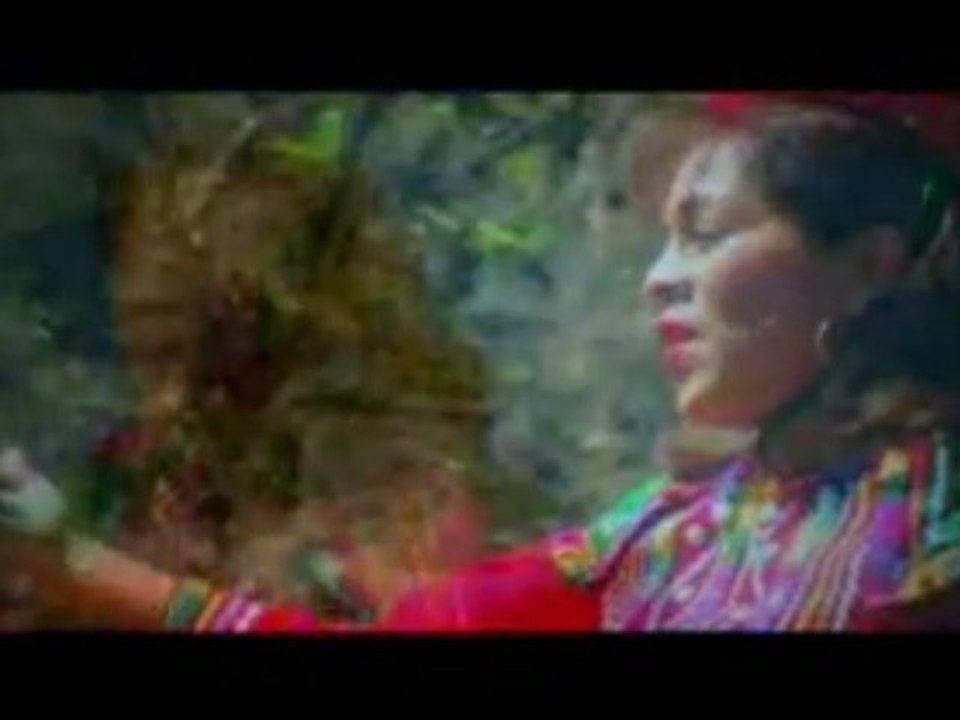 VIRGENES DEL SOL - ROXSANA