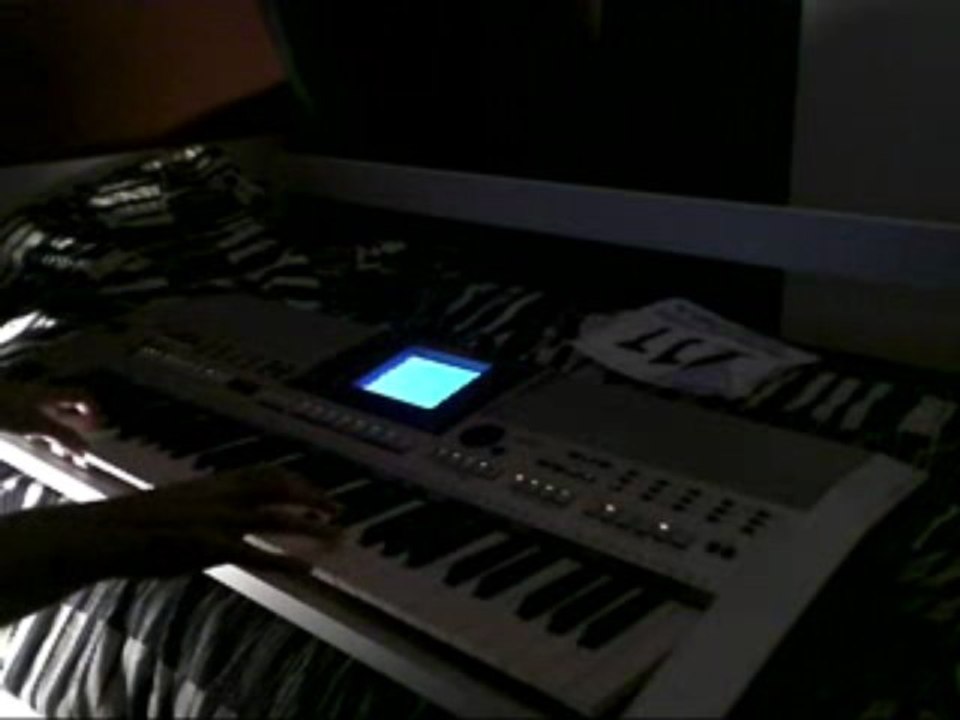 Générique Nils Holgersson PSR-S700