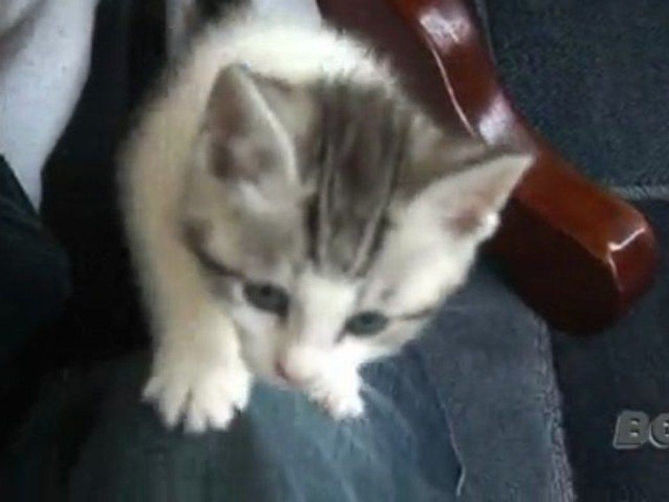 Scratchy