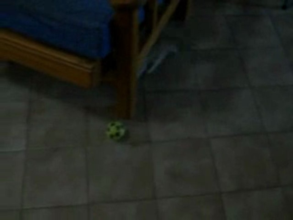 FUTBOLISTA