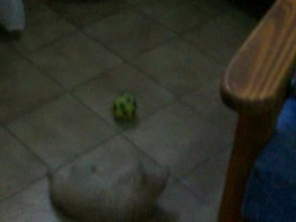 JUGANDO SOLO