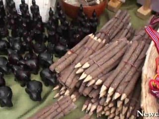 NewCa.com: Toronto Turkish Festival 2009: Taste of East